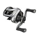 _C(DAIWA) xCg[ WI SV TW 1000PL nh(2021f)