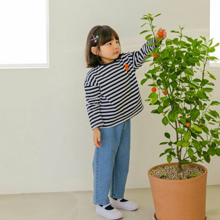 ��10�ĥ��åȡۤ��ӥܥ�ܥ� �إ��ԥ� ���å� ���λ� ���������꡼ �إ��Х�� ����ʤΤ� �ڹ� �Ҷ��� (0.1)