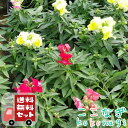 商品画像3