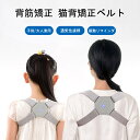 即納猫背矯正ベルト 振動 猫背ベルト 猫背 巻き肩 矯正 姿勢矯正 姿勢矯正ベルト 背筋矯正ベルト 姿勢矯正サポーター USB充電式 振動リマインダー 通気性抜...