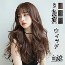 新作 ウィング ウルフ ウィッグ ロング 自然 フルウィッグ 送料無料 ウイッグ セミロング グラデーション 姫髪 レイヤー ミディアム ふかし 大人 カール ...