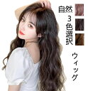 新作 ウィング ウルフ ウィッグ ロング 自然 ヘアネット付き フルウィッグ ロングヘアー 送料無料 ウイッグ セミロング グラデーション 姫髪 レイヤー ミデ...
