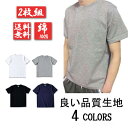 \売り尽くしセール/【2点セット】送料無料 大人 半袖Tシャツ Uネック コットン 綿100% 5カラー 男性用 お出かけ 散歩 通勤 スクール 運動 Tシャツ...
