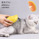 蒸気ブラシ 猫ブラシ ペットブラシ スチームブラシ 抜け毛取り 加湿ミスト 3in1 マッサージ 換毛期 静電気防止 噴霧 usb充電式 多機能 犬猫 送料無料