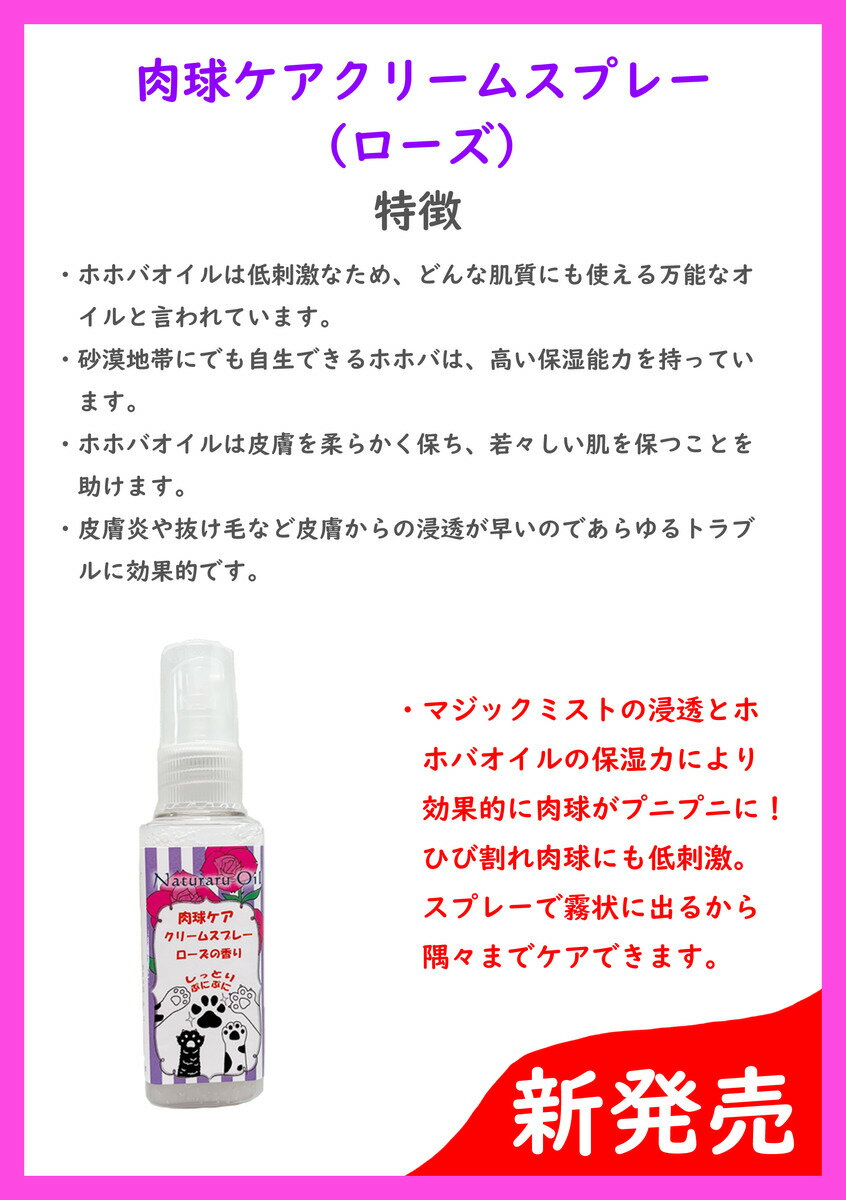 ���奱�����꡼�ॹ�ץ졼�ʥ������ˡڥڥå������太�����쥹�ץ졼�ۡ���¸��̵ź�á����������ȩ�ڰ¿���������