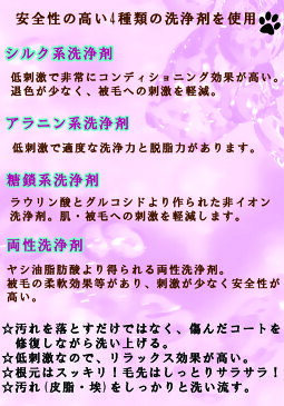 シルクエステ シャンプー【ノンシリコン】【ノンパラペン】【ノン石油オイル】【オーガニック植物シャンプー】