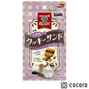 銀のスプーン三ツ星グルメ おやつ お魚味クッキーサンド かつお味(6g*4袋入) 猫 えさ おやつ スナック 間食 ◆賞味期限 2026年5月