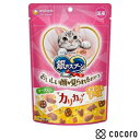 銀のスプーン おいしい顔が見られるおやつ カリカリチキン&チーズ(60g) 猫 えさ おやつ スナック 間食 ◆賞味期限 2026年6月