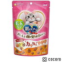 銀のスプーン おいしい顔が見られるおやつ 毛玉ケア カリカリシーフード(60g) 猫 えさ おやつ スナック 間食 ◆賞味期限 2026年5月