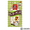 銀のスプーン 三ツ星グルメ お魚味クッキー シーフード(6g*4袋入) 猫 えさ おやつ スナック 間食 ◆賞味期限 2026年1月