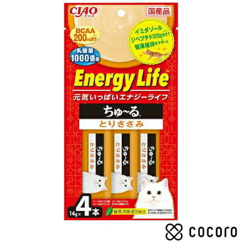 CIAO Energy Life ` Ƃ肳 L   gg y[Xg ܖ 2024N7