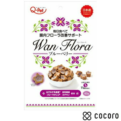 WanFlora u[x[60g    XibN ԐH ܖ 2024N11