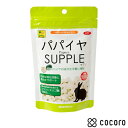 パパイヤ サプリ(100g) 小動物 フード おやつ ◆賞味期限 2024年5月