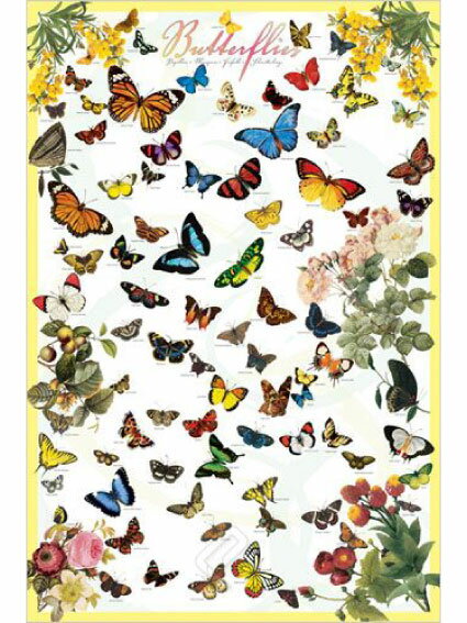 ͢ݥButterflies610 x 915mm