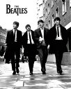 【ミニポスター】The Beatles400×500mm