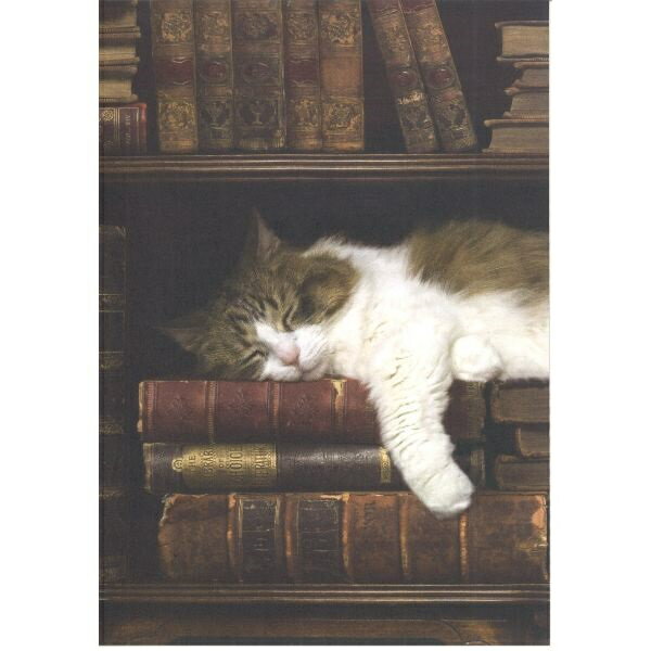 ドイツ製ポストカードねこ