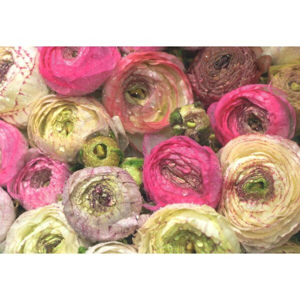 ドイツ製ポストカードフラワー