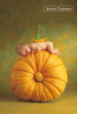 AEQfX(ANNE GEDDES)̃|XgJ[h