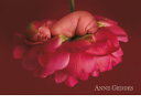 AEQfX(ANNE GEDDES)̃|XgJ[h