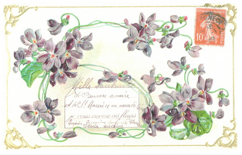 フランス　トゥールーズ(ヴィオレット)すみれ　ポストカード