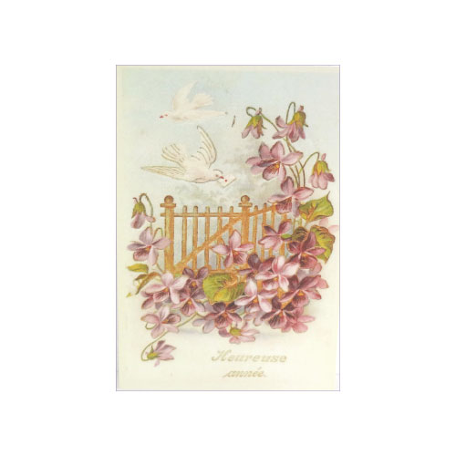 フランス　トゥールーズ(ヴィオレット)　すみれ　ポストカード