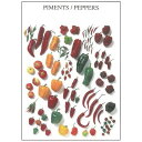 【フランス製ポストカード】Peppers