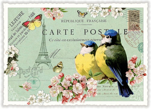 【輸入ポストカード】ACTEtre　パリの小鳥