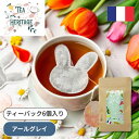 TEA HERITAGE(ティーヘリテージ) ティーバックアソート6個入アールグレイパッケージ:グリーン