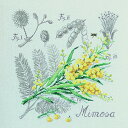 VERONIQUE ENGINGER(ヴェロニク・アンジャンジェ)クロスステッチキット壁掛け お花 シリーズ "Etude au Mimosa" (ミモザのエチュード)