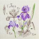 "Étude à l'Iris" (アイリスの研究)壁掛け お花 シリーズVERONIQUE ENGINGER(ヴェロニク・アンジャンジェ)デザイン クロスステッチキット