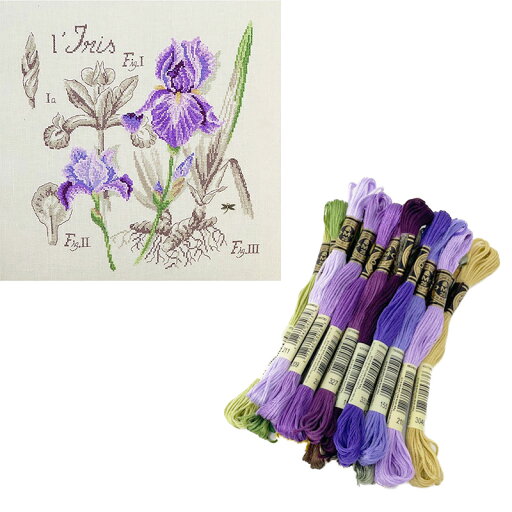 DMC刺繍糸"Étude à l'Iris" (アイリスの研究)壁掛け お花 シリーズ 19本入 DMC刺繍糸"Étude à l'Iris" (アイリスの研究)壁掛け お花 シリーズ 19本入