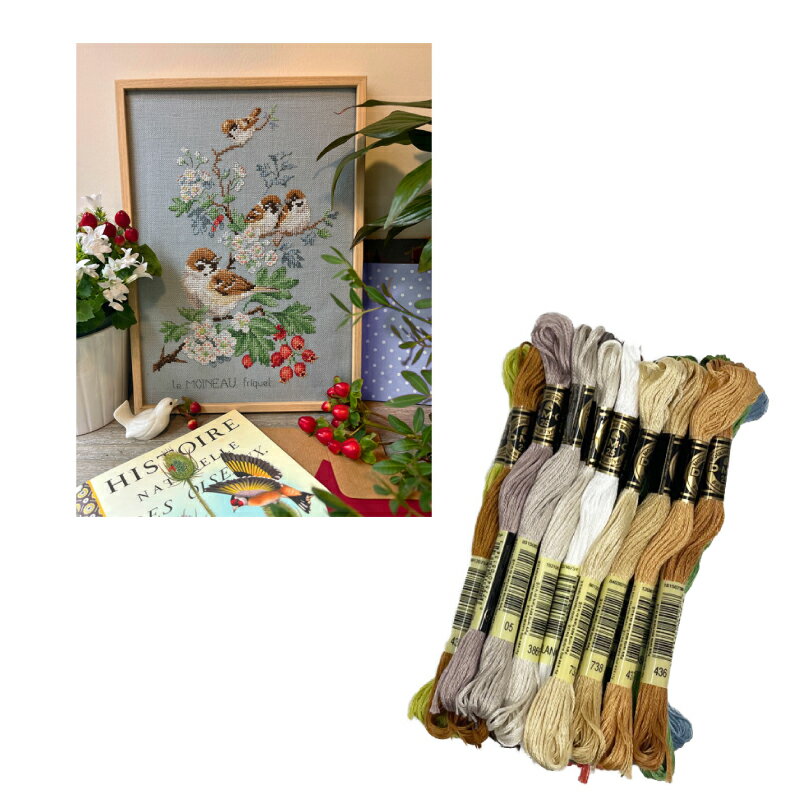 DMC刺繍糸"Étude aux Moineaux" (スズメの研究) 25本入