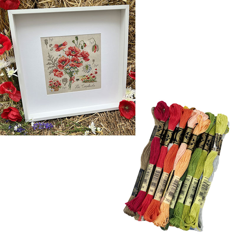 DMC刺繍糸"Étude aux Coquelicots" (ポピーの研究) 22本入