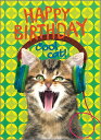 tXO[eBOJ[h HAPPY BIRTHDAY CATS(COOL CAT)