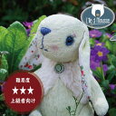 【セール価格】フランス製テディベア作成キット Lile A mousse【上級】
