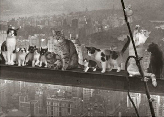 ドイツ製ポストカード