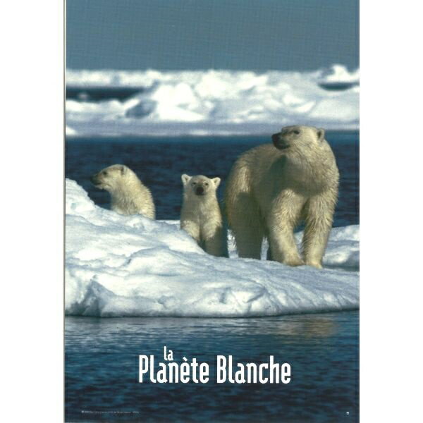 フランス直輸入　ポストカード