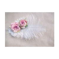 ポストカード フラワー　