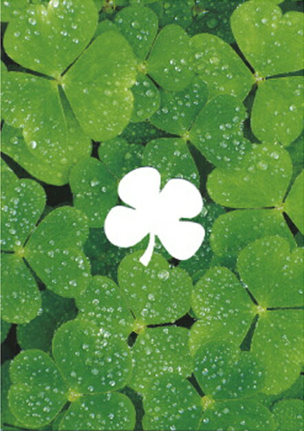 ドイツ製ポストカード