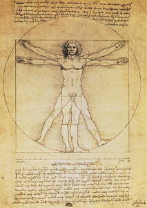 【輸入ポストカード】レオナルド・ダヴィンチLeonardo da Vinci『ウィトルウィウス的人体図』