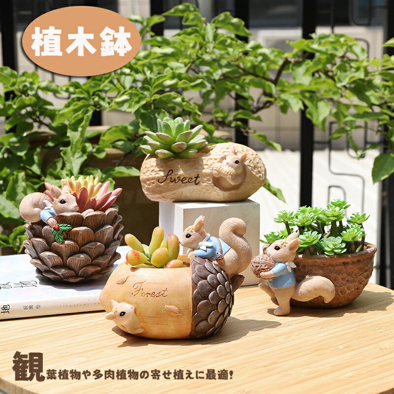 植木鉢 多肉植物 ミニ 可愛い 寄せ植え 鉢 樹脂 おしゃれ 多肉鉢 観葉植物 サボテン DIY 飾り ガーデニング サボテン フラワーポット 室内 多肉植物 ポット 植木鉢 箱庭鉢 多肉植物用鉢 置物 家装飾 インテリア 誕生日プレゼント 1