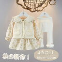 ベビー服 セットアップ 女の子 子供服 3点セット 長袖 パンツ ベビー ワンピース 花柄 レギンス ベスト ニットベスト ロングパンツ キッズ 上下セット 春 秋 パンツセット 子ども服 女児 通園 通学 普段着 かわいい 海外通販