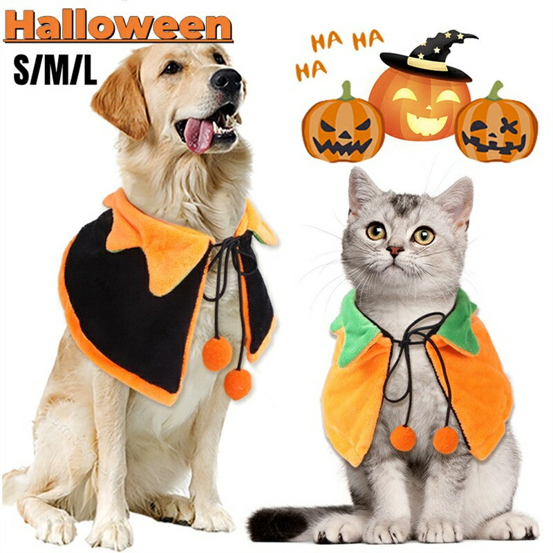 猫用ハロウィンコスプレ｜愛猫の仮装に！かわいいグッズ教えてください。