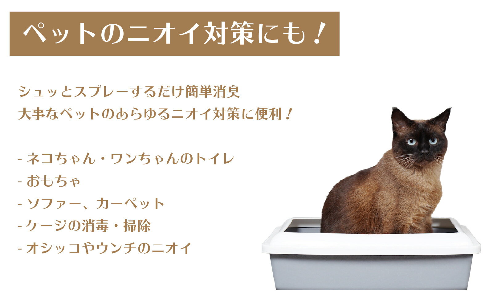 GIA-Protect次亜塩素酸除菌・消臭水濃度1000ppm10l