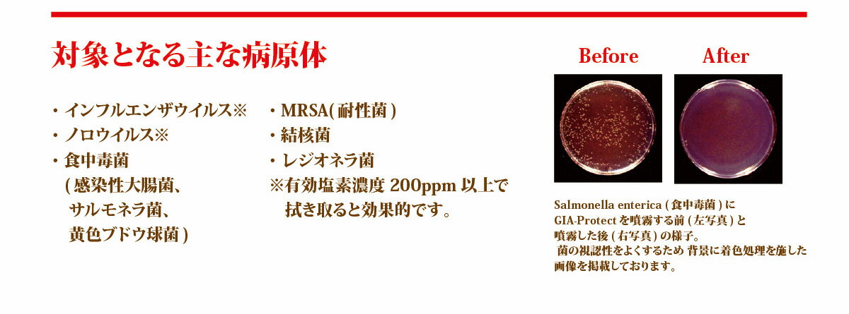 あす楽 ・ 即納 次亜塩素酸 GIA-Protect ウィルス 除菌 ・ 消臭 水 濃度 1000ppm 10L 次亜塩素酸除菌水 kokoroshop　楽天　マスク　在庫あり