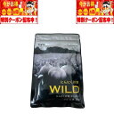 にんにく卵黄WILD 62球 31日分 やずや にんにく卵黄WILD ワイルド すっぽん マカ 牡蠣 ...