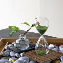 砂時計 3分 抹茶(緑)/ほうじ茶(金) カップラーメン エクササイズ 砂時計 レトロ タイマー プレゼント