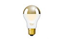 デザインLED電球「Siphon」サイフォン The Bulb Gold mirror Frost LDF81 口金E26 調光可能 調光器対応 真鍮ソケット 球体 オブジェ感 まぶしくない電球 電球色2600K