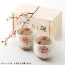 【 湯呑み ペア 】 春うららいっぷく碗 ペア 木箱入り 美濃焼 【日本製/陶器/和食器/食器/家庭用/来客/さくら柄/桜 上品/湯呑/湯のみ/ゆのみ/煎茶碗 ...