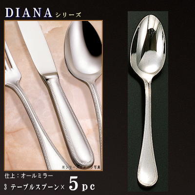 スプーン 5本 セット 【DIANAシリーズ】 テーブルスプーン 200mm×5本 【大きめサイズ/